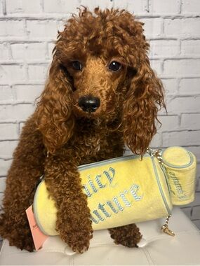 NWT Juicy Couture Pastel Yellow Shoulder Bag w/ Mini Bag (modeled by Falleen)